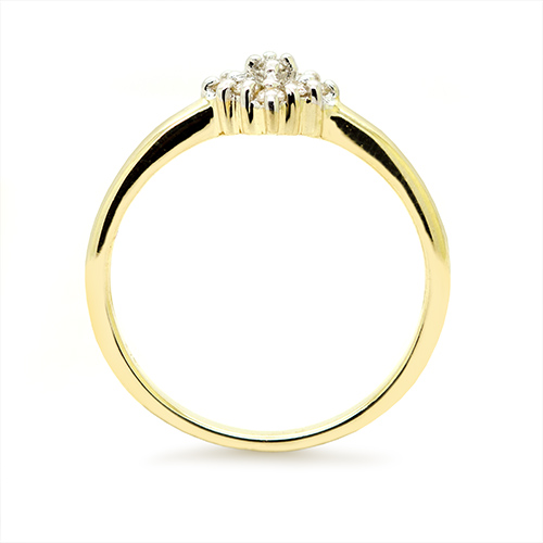 Zaveris 9 Carat Yellow Gold Prong Set Cluster Diamond Ring