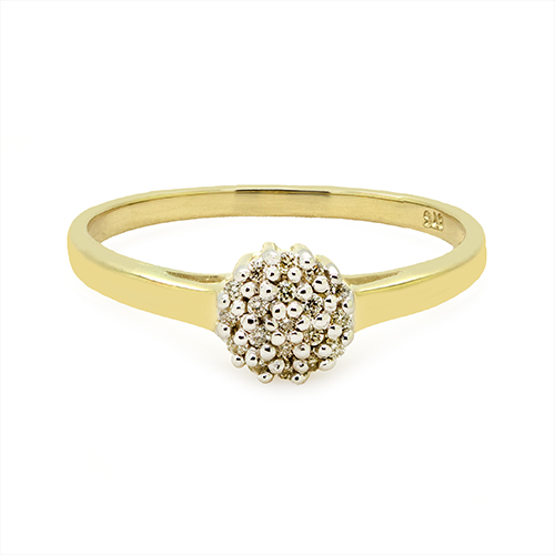 Zaveris 9 Carat Yellow Gold and Round Prong Set Cluster Diamond Ring