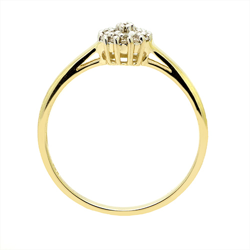 Zaveris 9 Carat Yellow Gold and Round Prong Set Cluster Diamond Ring